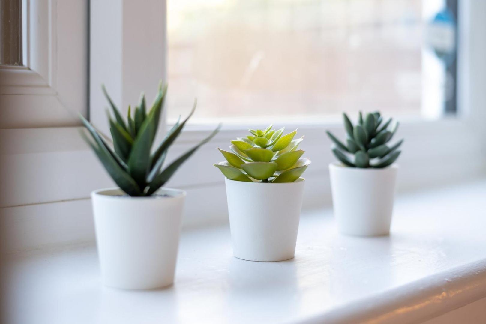 Guestready - Soberbo Moderno Com Jardim Em Kilburn Villa London Eksteriør bilde